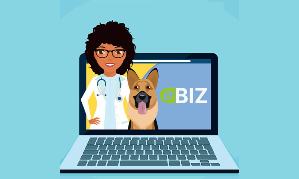 Telemedicine Solutions